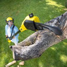 Best Lawn Grading and Leveling  in Elm Creek, TX